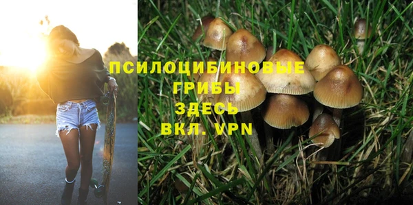 spice Зеленокумск