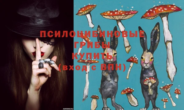 spice Зеленокумск