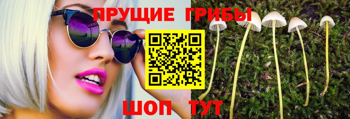 Галлюциногенные грибы ЛСД  Вход с VPN  Можайск  Псилоцибиновые грибы Psilocybe 