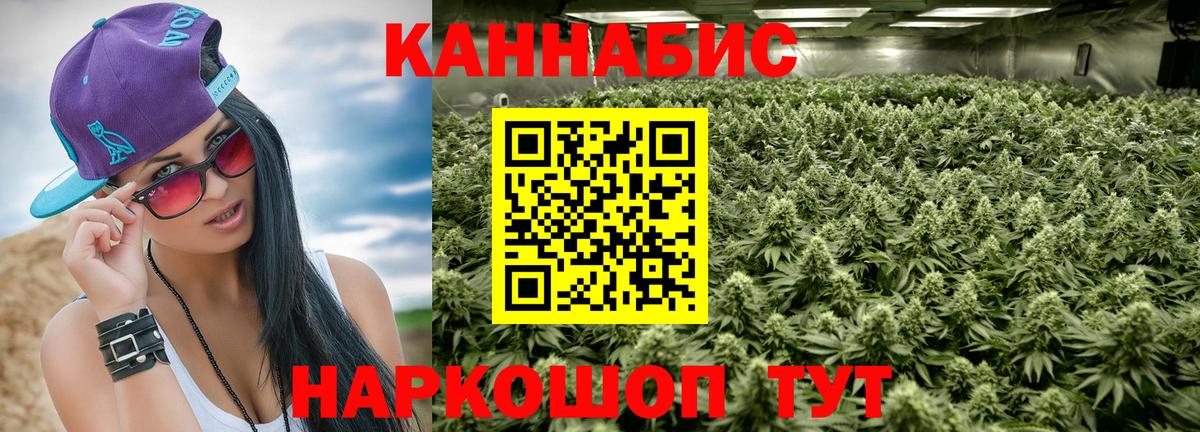 Конопля планчик Можайск